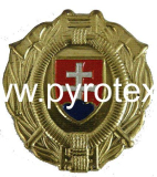 Odznak DPO SR na čiapku -staršia verzia